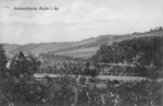 1s24sw1_1912_Sommerfrische, Blick zum Waldpark_v.jpg